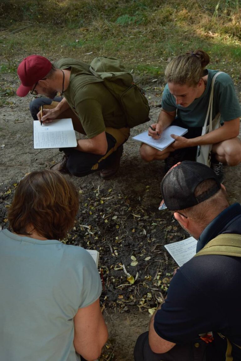 Gruppe notiert im Wald an Bodenproben.