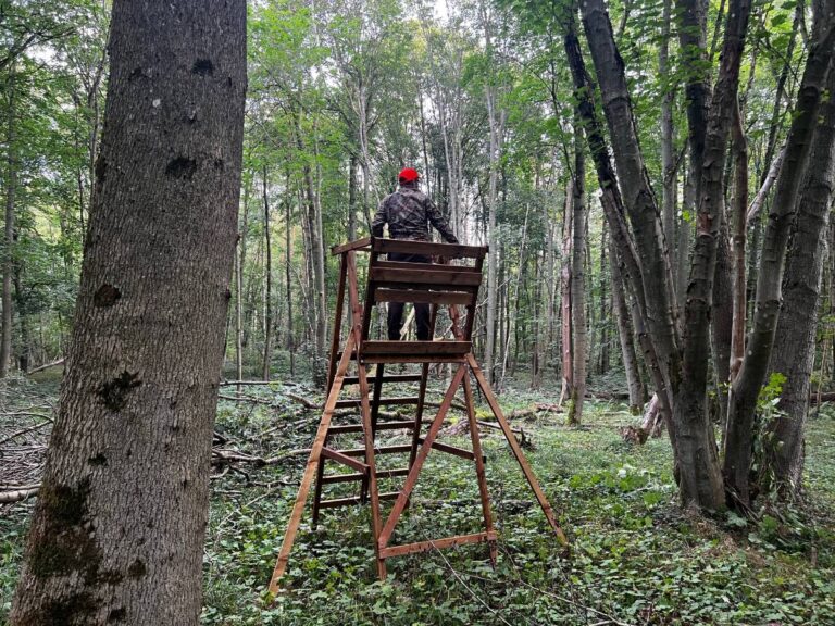 Jäger auf Hochsitz im Wald