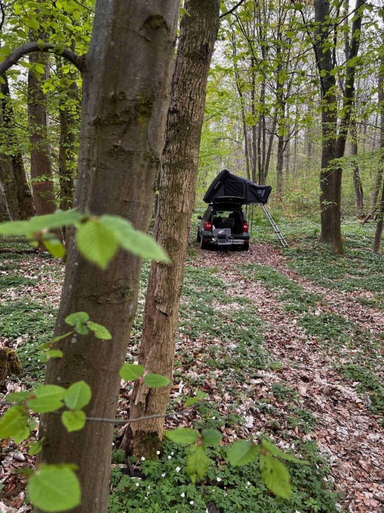 Auto mit Dachzelt im Wald