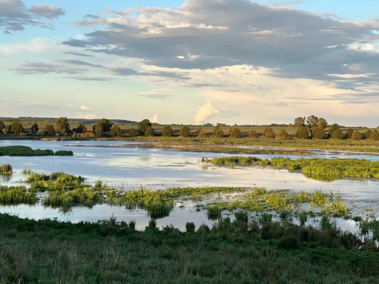 Landschaft mit Fluss und Bäumen bei Sonnenuntergang.