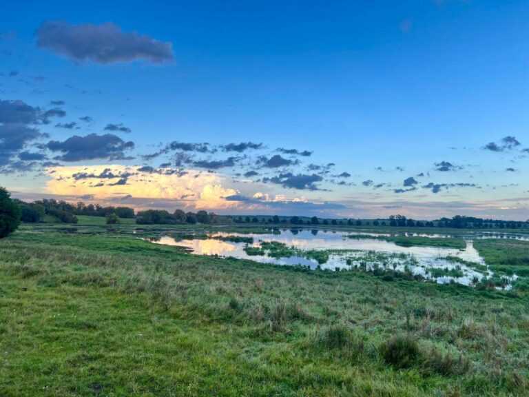 Landschaft mit Wiese und Fluss bei Sonnenuntergang.