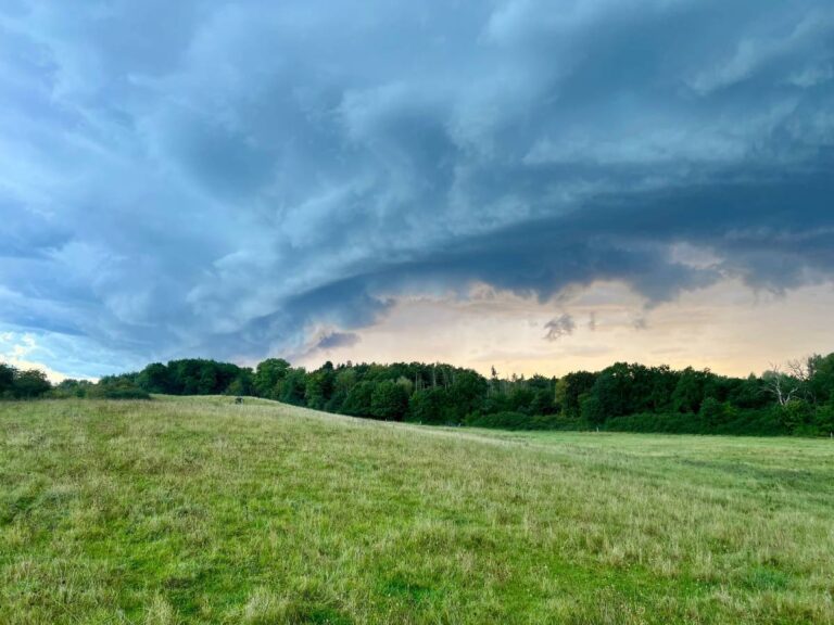 Grüne Wiese unter dramatischen Wolken