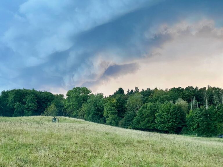 Wolken über grüner Wiese und Wald.