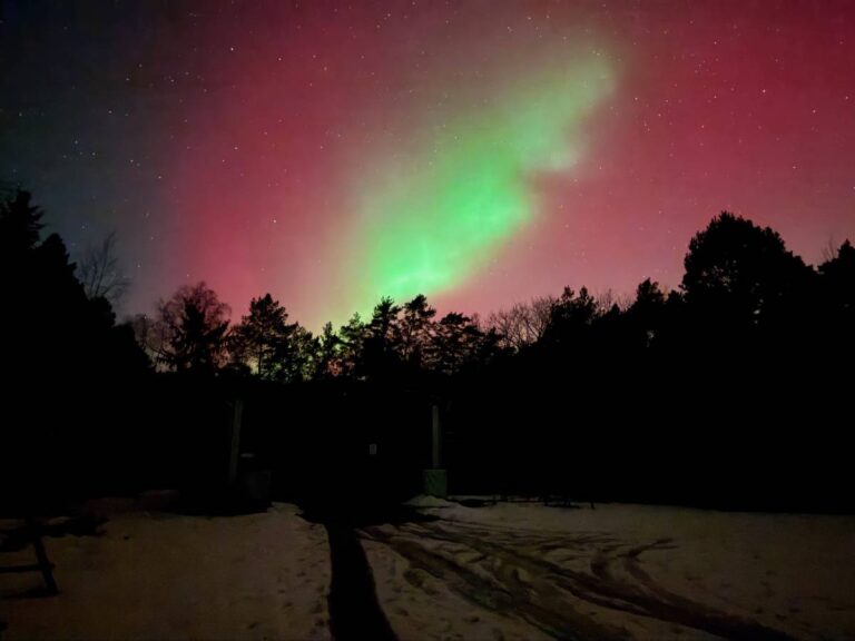 Nordlichter über schneebedecktem Wald