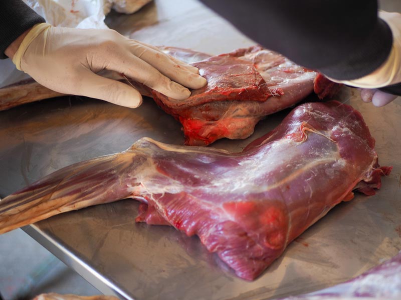 Fleischverarbeitung auf einem Tisch mit Handschuhen