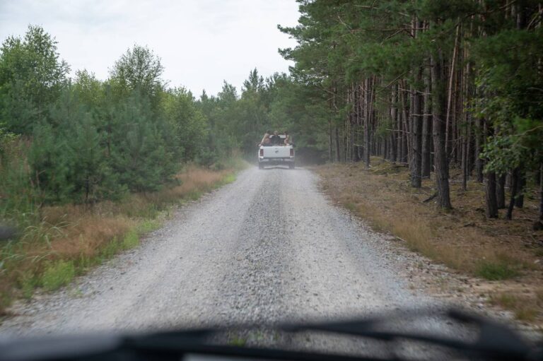 Pick-up fährt auf Waldweg