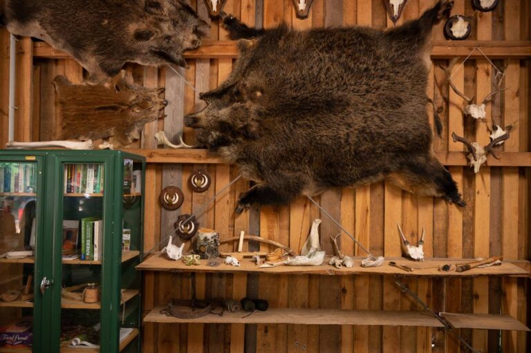 Jagdtrophäen und Bücher in Vitrine