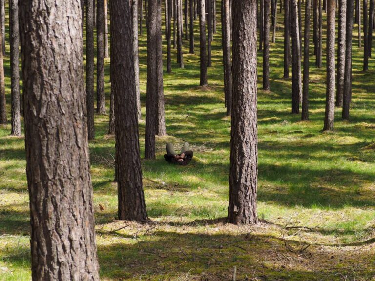 Person entspannt sich im Wald zwischen Bäumen.