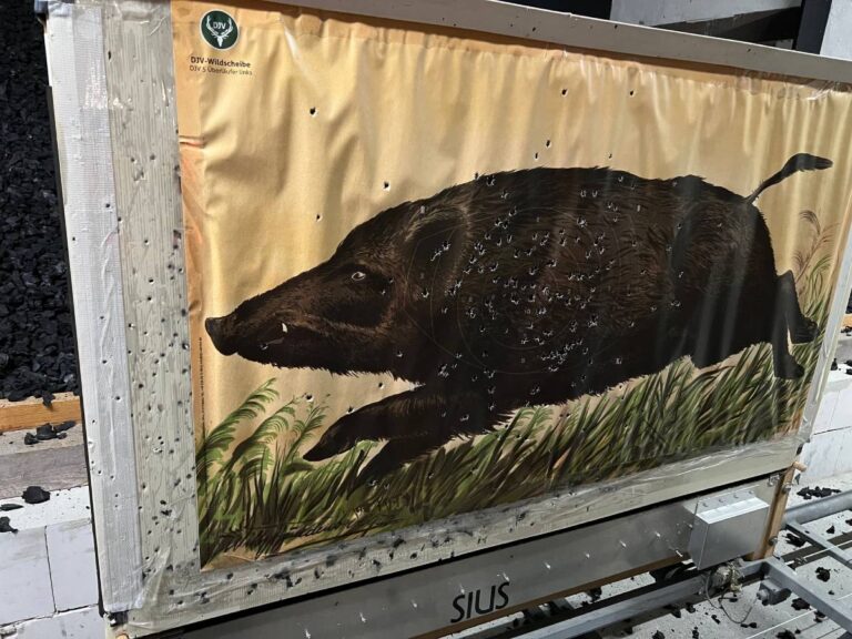 Wildschwein-Zielscheibe mit Schusslöchern auf Schießstand.