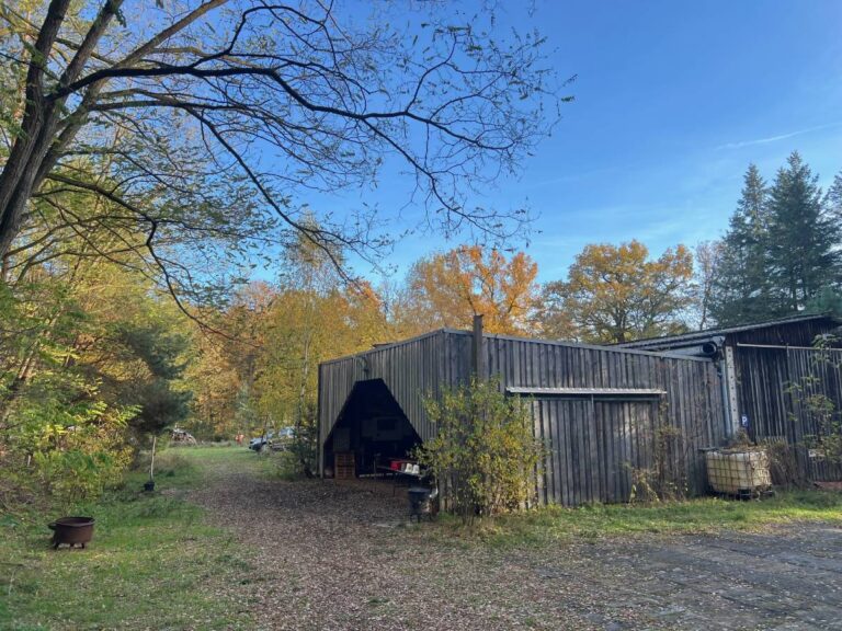 Holzschuppen im Herbstwald, blauer Himmel.