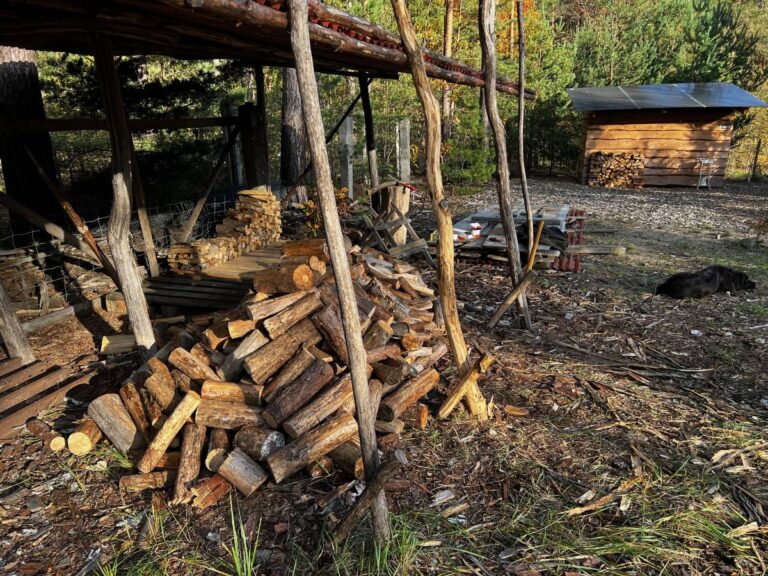 Gestapeltes Brennholz unter Schuppen im Wald.