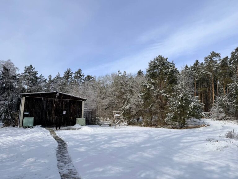 Verschneiter Wald mit Holzhütte und Pfad.