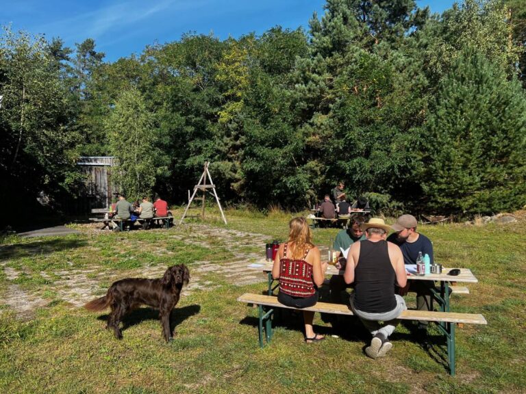 Menschen picknicken im Freien auf Bänken mit Hund.