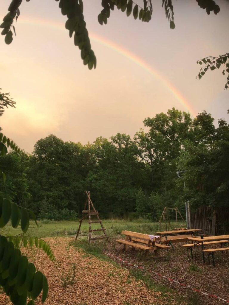 Regenbogen über Waldpark mit Holzbänken