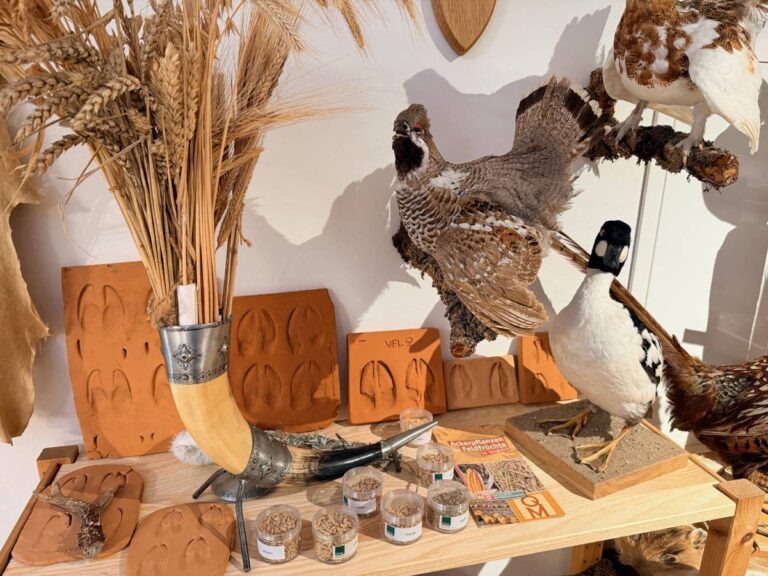 Tierpräparate, Tierfährten in Ton und Getreide auf Holzregal