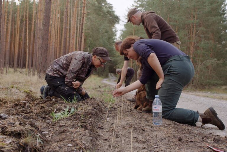 Menschen pflanzen Bäume im Wald