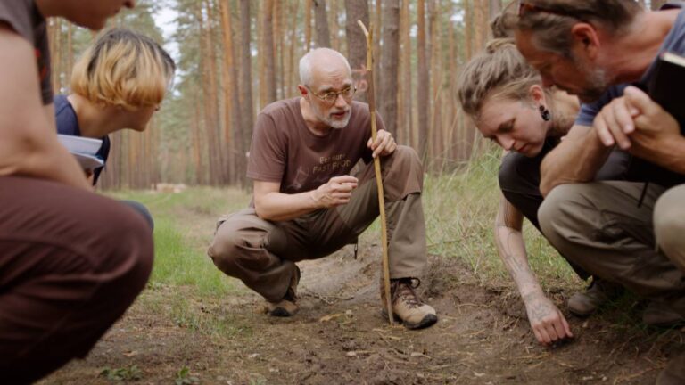 Gruppe untersucht den Waldboden gemeinsam.