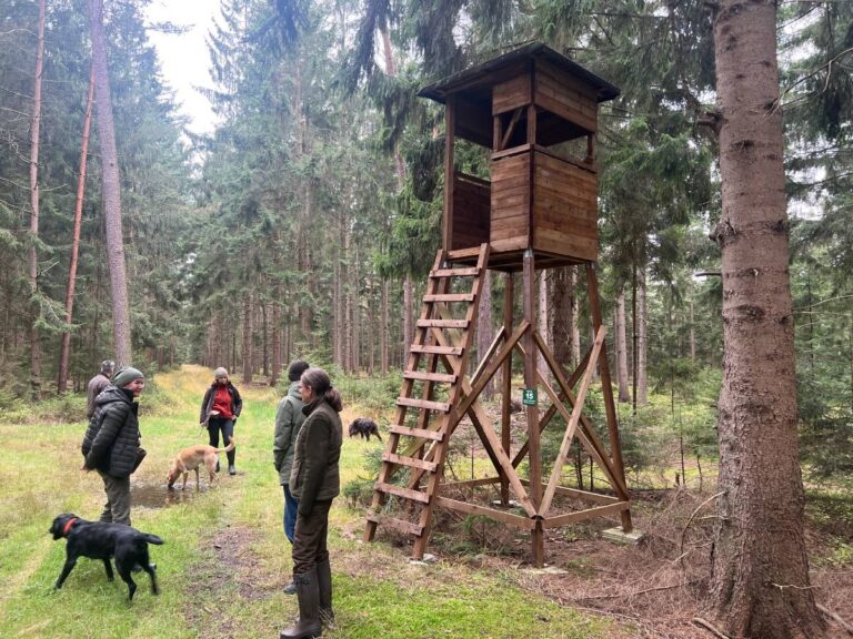 Wanderer und Hunde neben Hochsitz im Wald