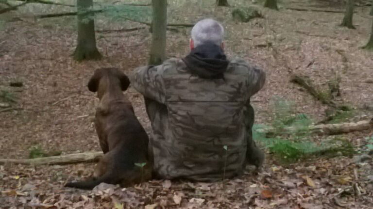 Ein mann und ein Hund sitzen mit dem Rücken zur Kamera auf dem Waldboden