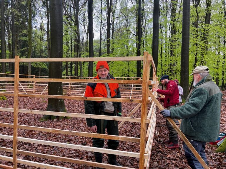 Menschen bauen im Wald ein Holzgerüst auf.