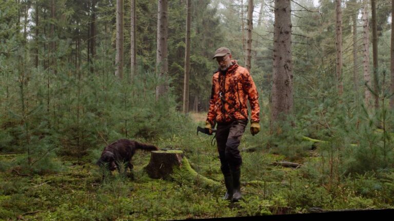 Mann mit Hund im Wald spazieren