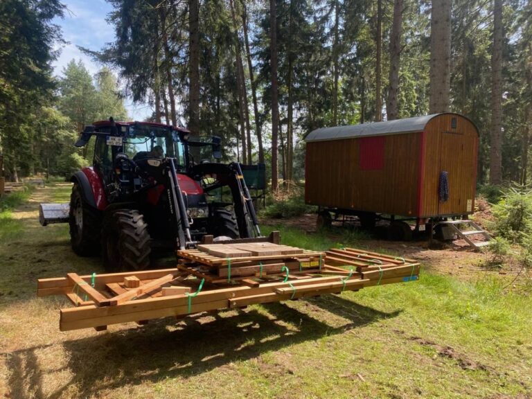 Traktor transportiert Holz im Wald
