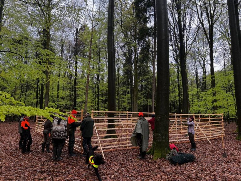 Menschen bauen Holzkonstruktion im Wald